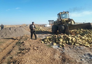 تخریب ۱۱بنای غیر مجاز در اراضی کشاورزی بویین زهرا