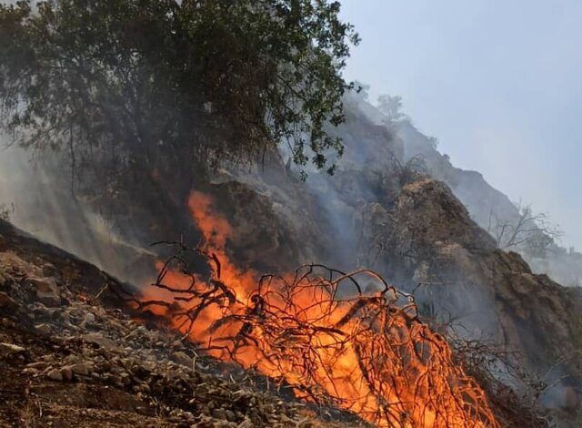 آتش دوباره در کوه «خامی» گچساران زبانه کشید