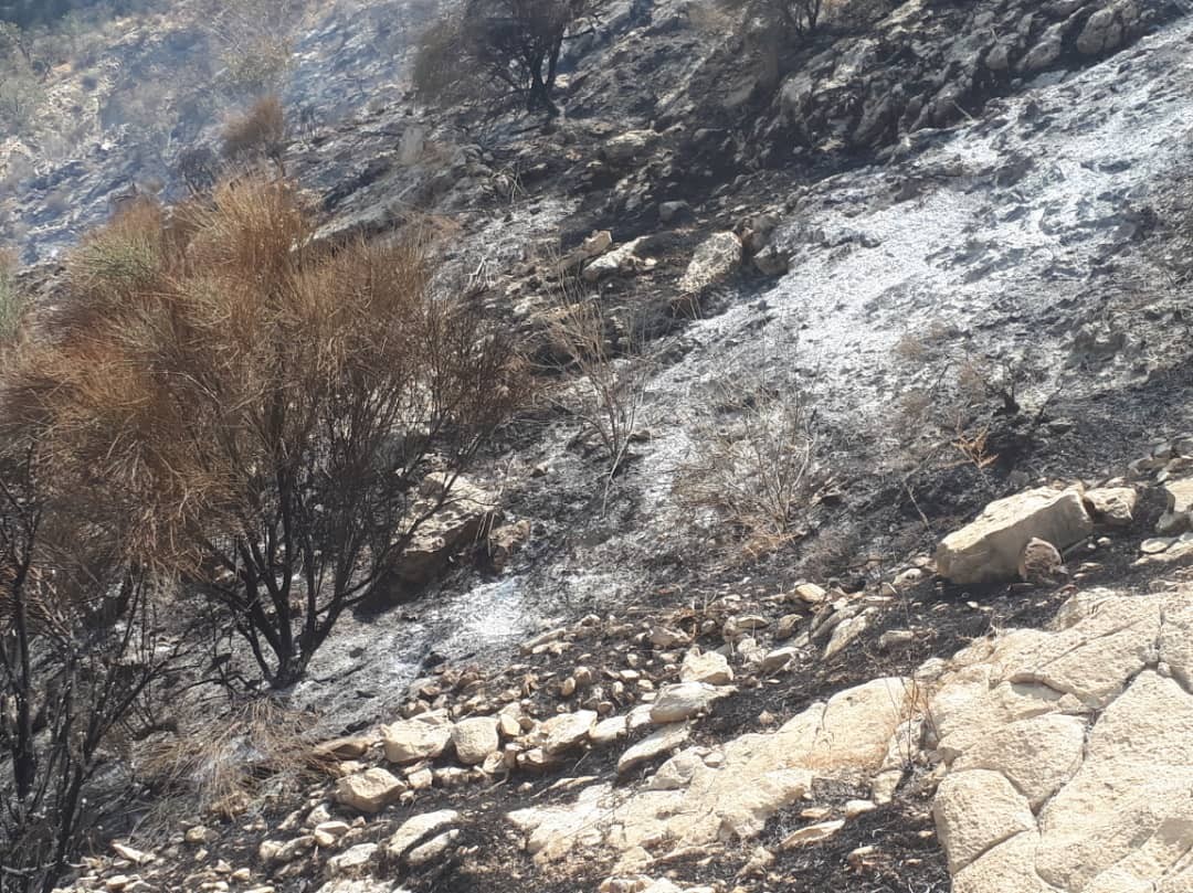مهار آتش سوزی در منطقه حفاظت شده کوه بیرمی