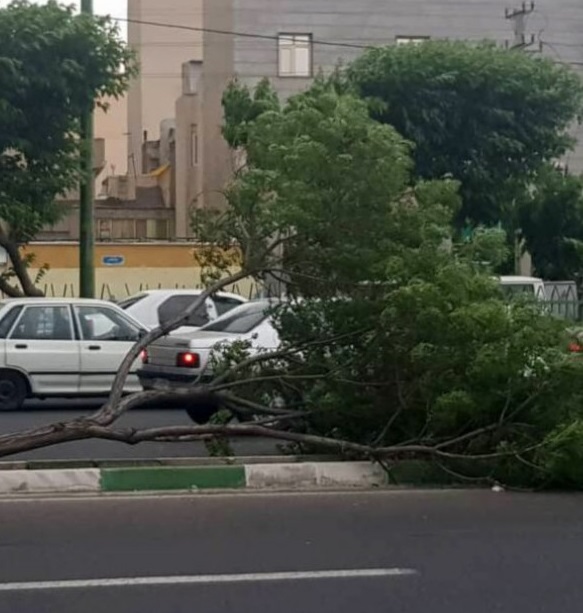 افزایش تدریجی دما و هشدار هواشناسی درخصوص وزش تند باد از فردا