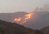 درخواست کمک برای مهار آتش سوزی در جنگل های خائیز