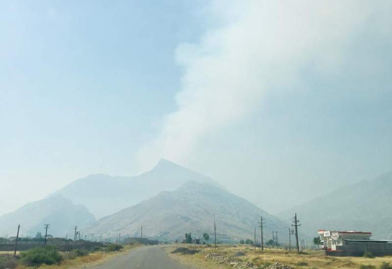 آتش سوزی در کوه دیل گچساران