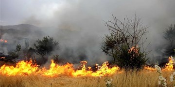 خارج شدن کنترل آتش در ارتفاعات خاییز کهگیلویه