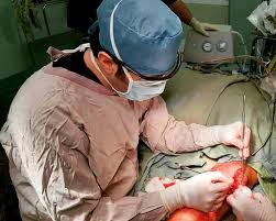 جراحی موفقیت آمیز پیوند پا در بیمارستان طالقانی کرمانشاه