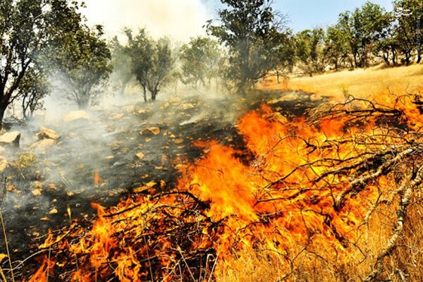 امکانات ناچیز آتش نشانی برای اطفای حریق منابع طبیعی