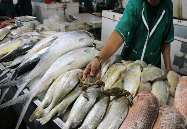 حکم جالب قضایی برای ماهی فروش متخلف بانه‌ای
