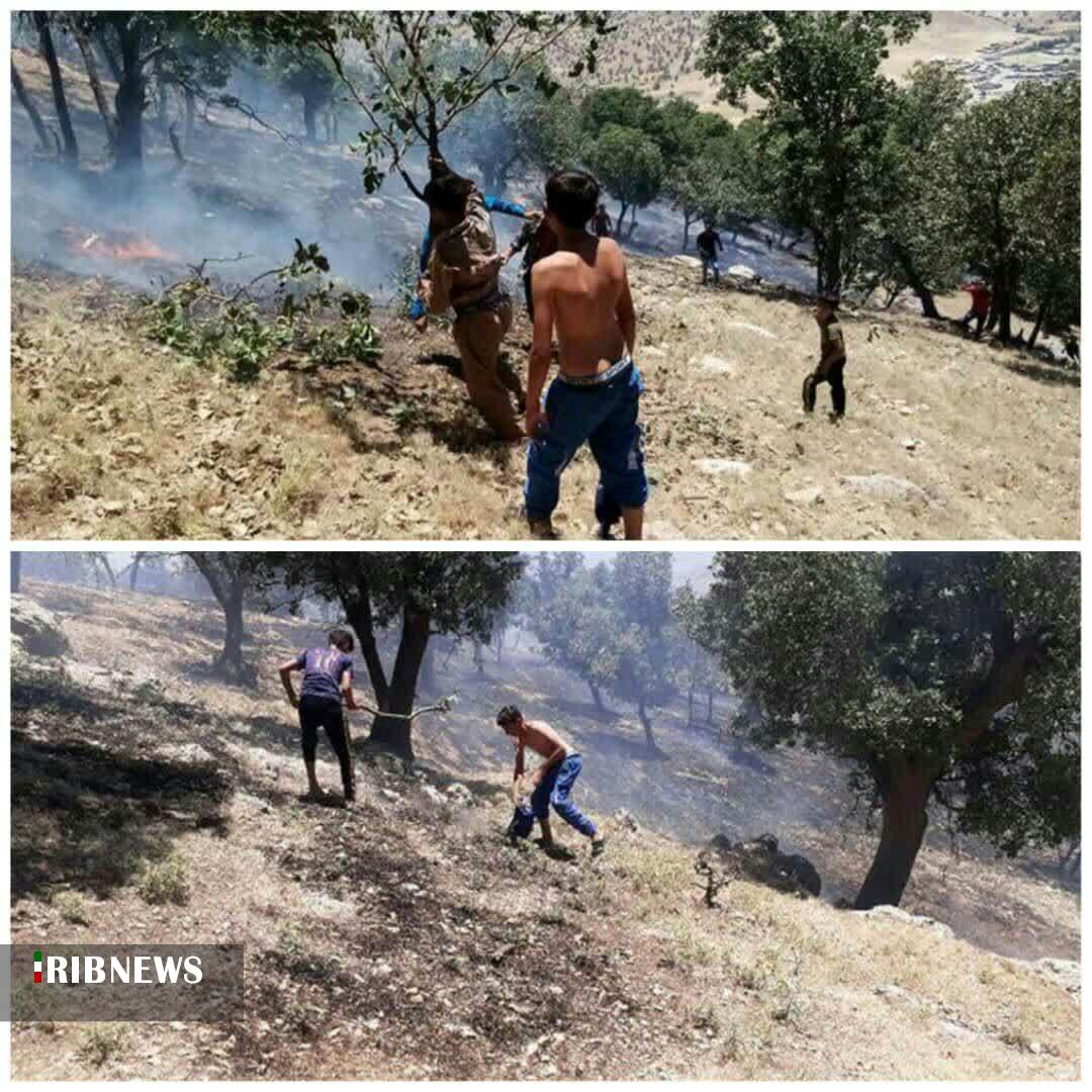 مهار آتش سوزی کوه ممبل منطقه دیشموک