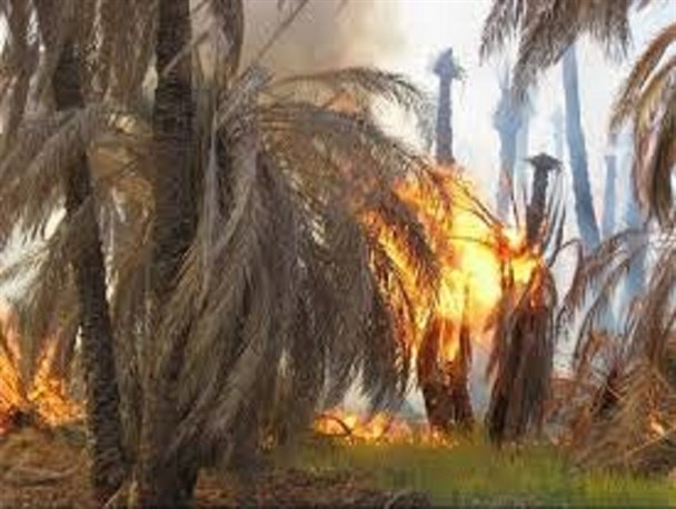 خسارت ۵۰ میلیون تومانی آتش سوزی در جگدان بشاگرد