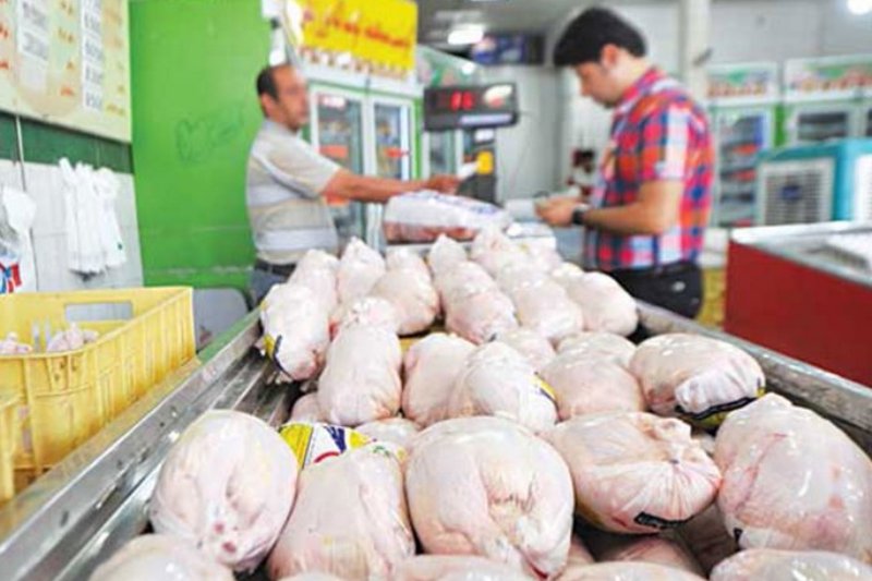 توزیع ۵۰ تن مرغ منجمد برای تعدیل قیمت در بازار