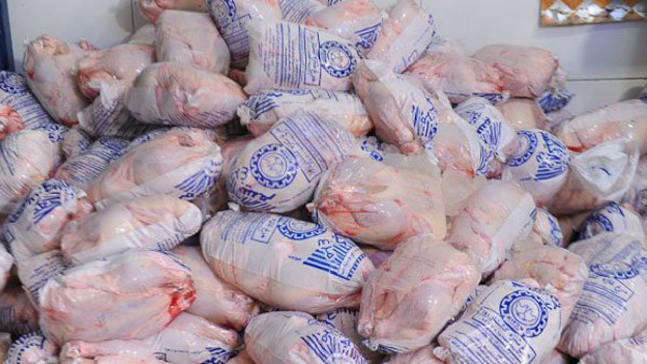 توزیع 50 تن گوشت مرغ منجمد