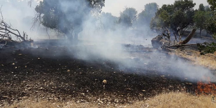 مهار آتش سوزی در منطقه بوزین و مرخیل پاوه