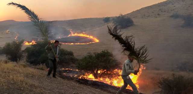 مهار آتش سوزی در منطقه شکار ممنوع کوه سیاه