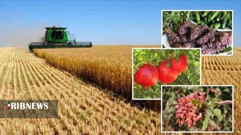 افزایش تولیدات کشاورزی در استان