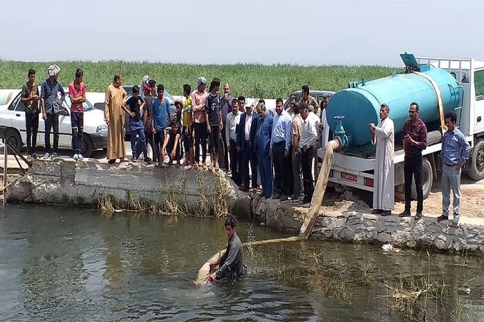 رهاسازی ۳۰۰ هزار قطعه ماهی در تالاب شادگان