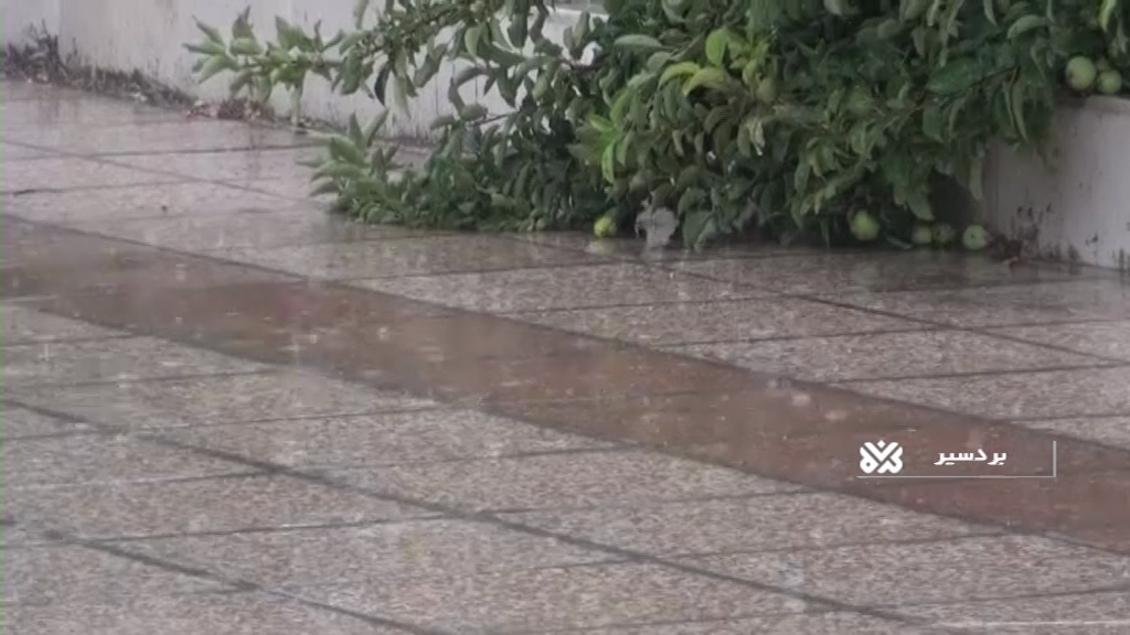 باران، رگبار وتند باد در کرمان