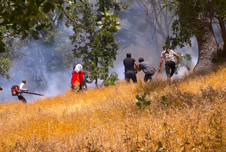 مهار ۹۰ درصدی آتش‌سوزی مراتع ارسباران