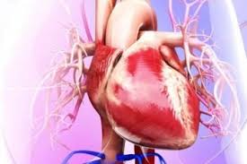 طراحی داربستی برای ایجاد مدل‌های قلبی