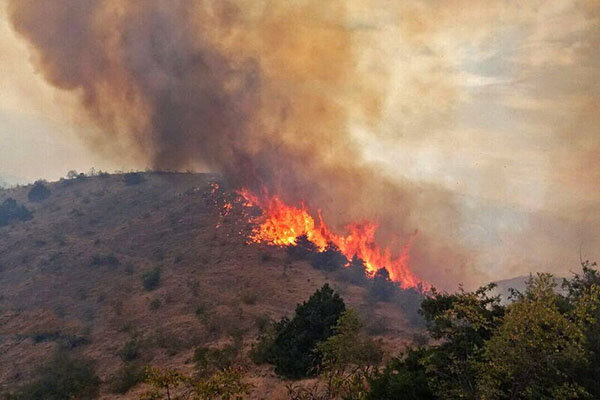 گزارش روزانه ۵۰ مورد آتش سوزی مراتع و باغات در قزوین