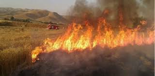 آتش سوزی در ۲ هکتار از زمین‌های باغی و زراعی روتان سیریک