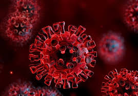 افزایش ابتلا به ویروس کرونا در آذربایجان غربی.