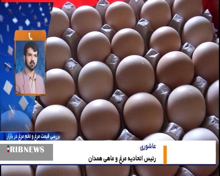 ارزان شدن تخم مرغ در بازار همدان