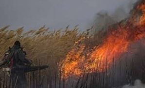 مهار آتش در نیزار‌های جاده ساحلی اهواز