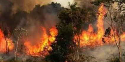 مهار آتش در منطقه سه بلوطان دهدز