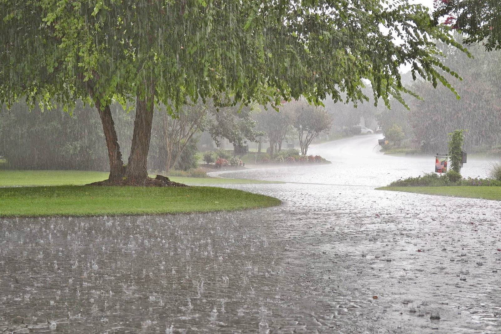 بارش بیش از ۱۳ میلی متر باران در سیردان