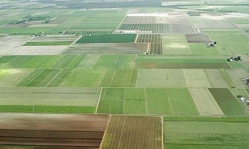 طرح کاداستر در ۱۷۳ هزار هکتار زمین کشاورزی اجرا می‌شود