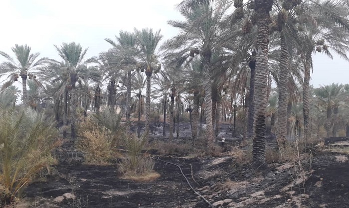 آتش سوزی در ۵۰ هکتار از زمین‌های بخش رودخانه