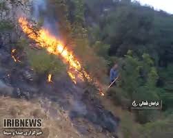 وقوع ۳۲ مورد آتش سوزی در استان