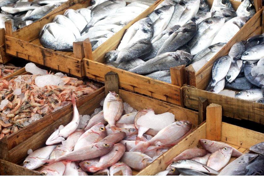 کسادی بازار ماهی در استان به علت شیوع کرونا