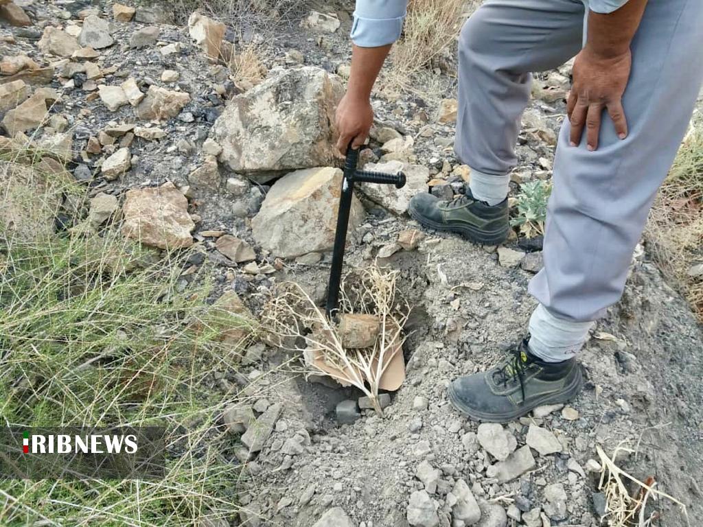 دستگیری بهره برداران غیر مجاز شیره آنغوزه در رفسنجان