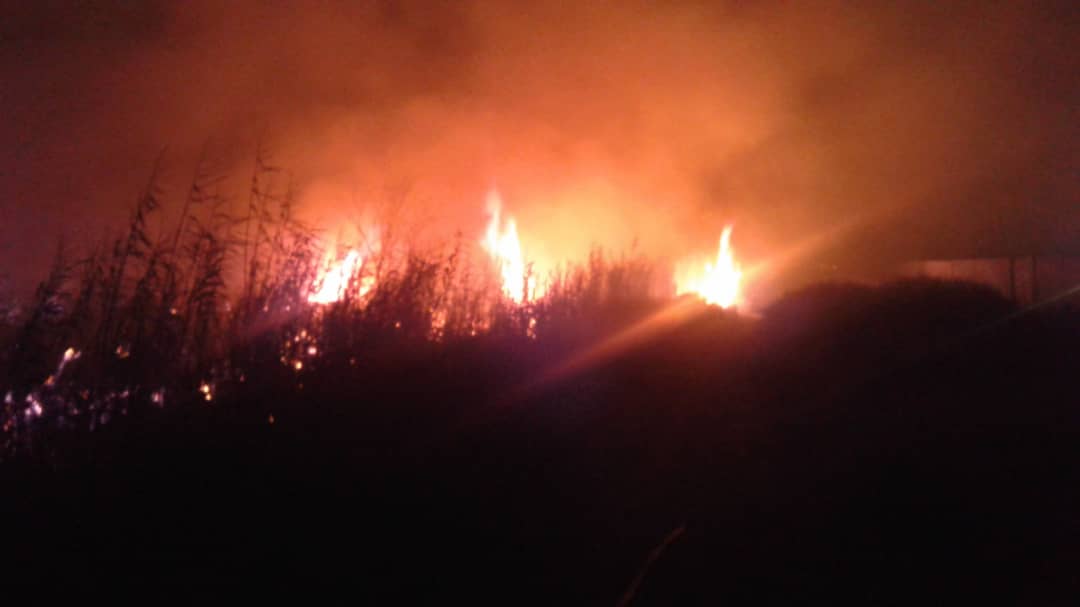 آتش سوزی در نیزارهای سه راه خرمشهر اهواز