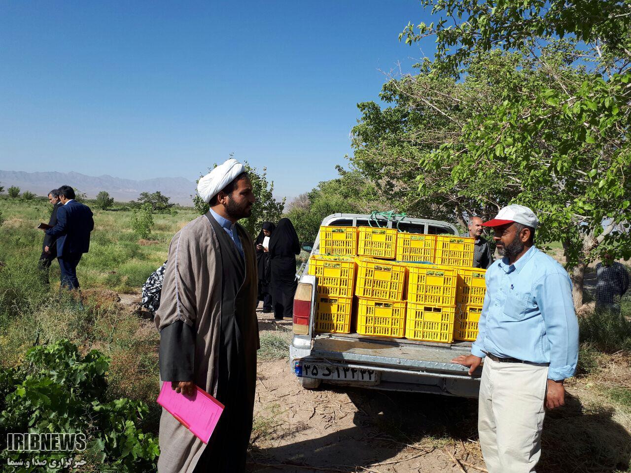 افزایش ۱۰۰ درصدی پرداخت زکات در خراسان جنوبی