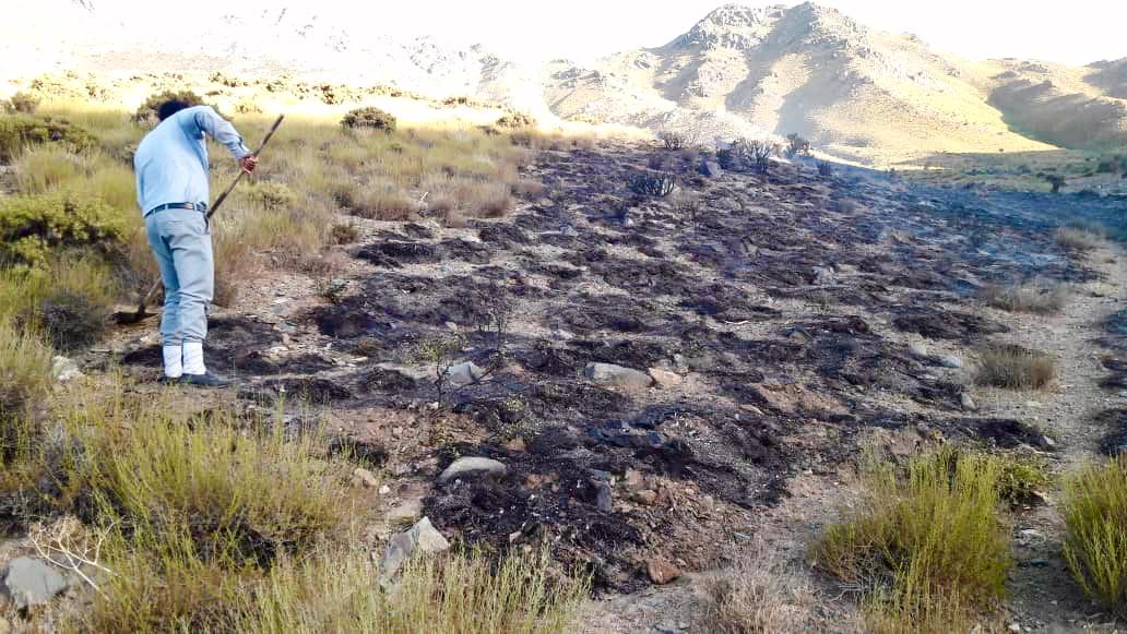 مهار آتش سوزی  در مراتع سرچشمه رفسنجان