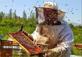 عسل  درقطب تولیدکشور خریدار ندارد ....