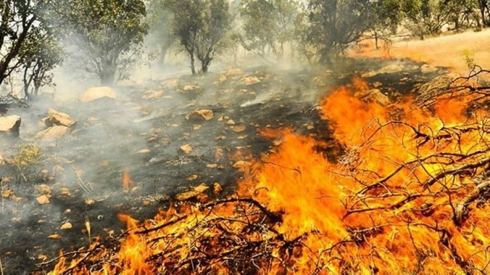 مهار آتش سوزی مراتع روستای شول