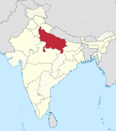۱۱۶ کشته در هند