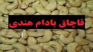 جریمه ۲۲ میلیاردی قاچاقچی بادام هندی در فارس
