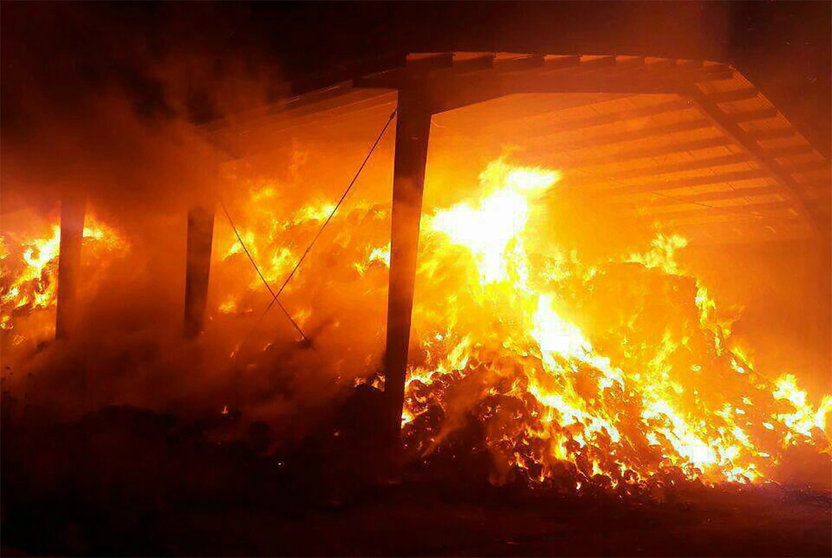 آتش سوزی گاوداری در مرودشت