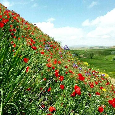 زنجان جزو خنک ترین ها