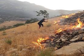 مهار آتش سوزی ارتفاعات تودج شهر ششده فسا.