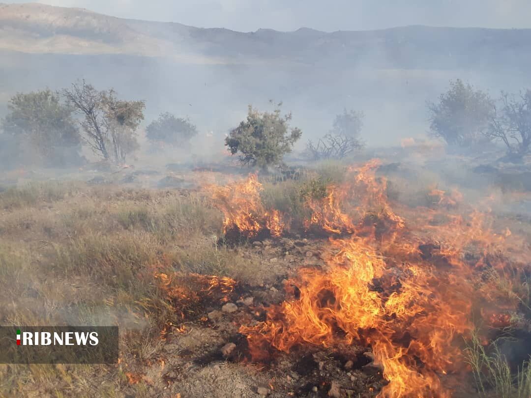 شناسایی عوامل آتش سوزی مناطق جنگلی و  مرتعی  دزفول