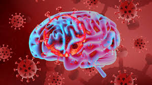 یافته‌های محققان در خصوص تاثیر ویروس کرونا بر مغز