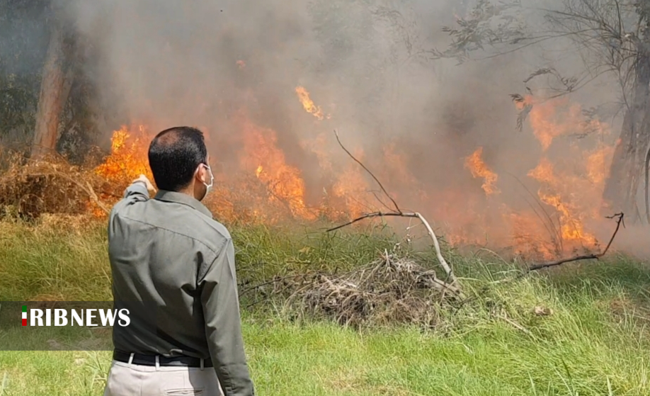 مهار آتش در منطقه جنگلی سوم شعبان دزفول