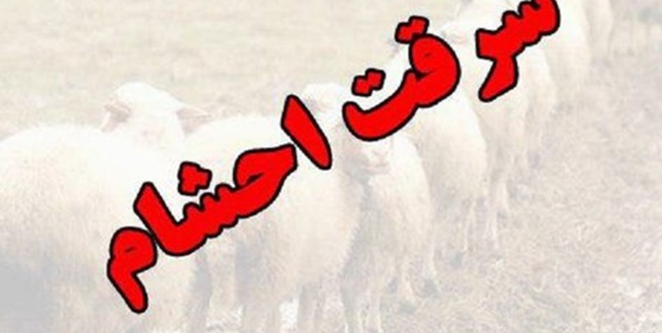 دستگیری سارقان احشام در گچساران