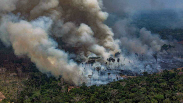 افزایش ۲۸ درصدی آتش سوزی در جنگل‌های آمازون