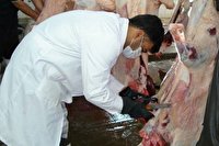 حفظ سلامت مصرف‌کنندگان گوشت دام‌های قربانی