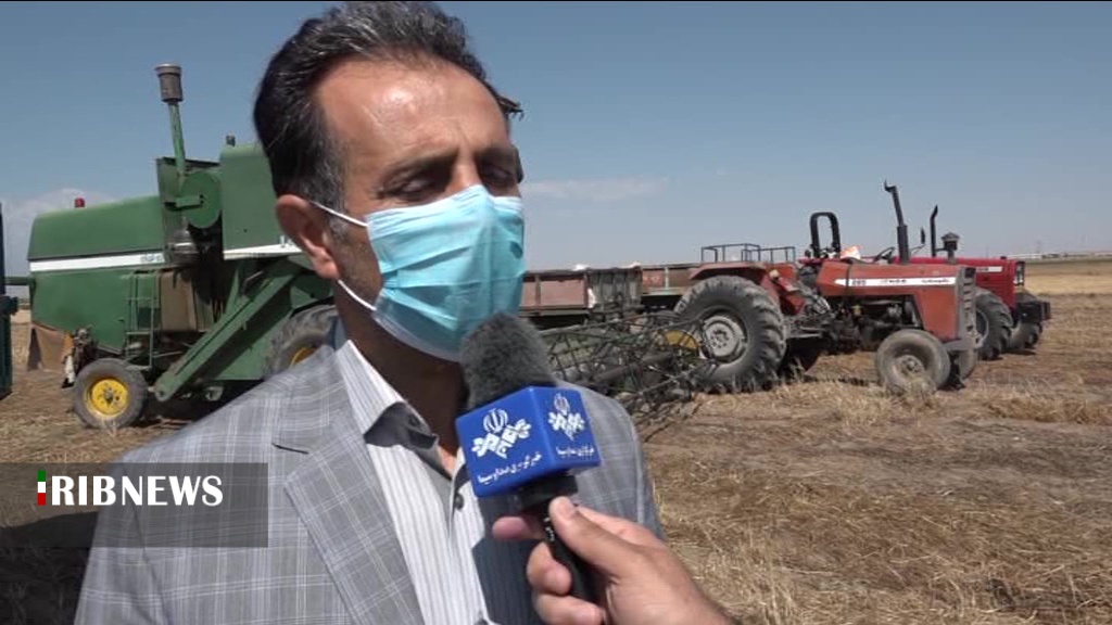 پیش بینی برداشت بیش از 300 هزار تن گندم در استان اردبیل